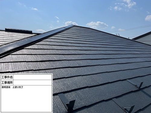 82695_82130_IMG_7633