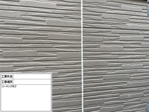 82697_82132_IMG_7647